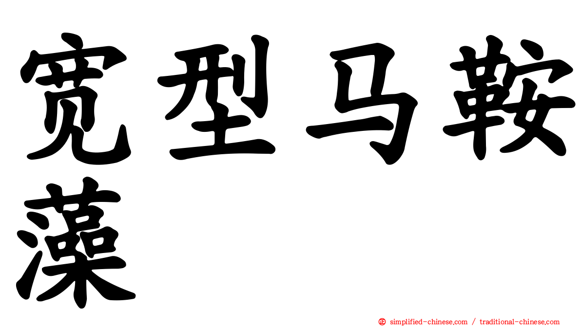 宽型马鞍藻