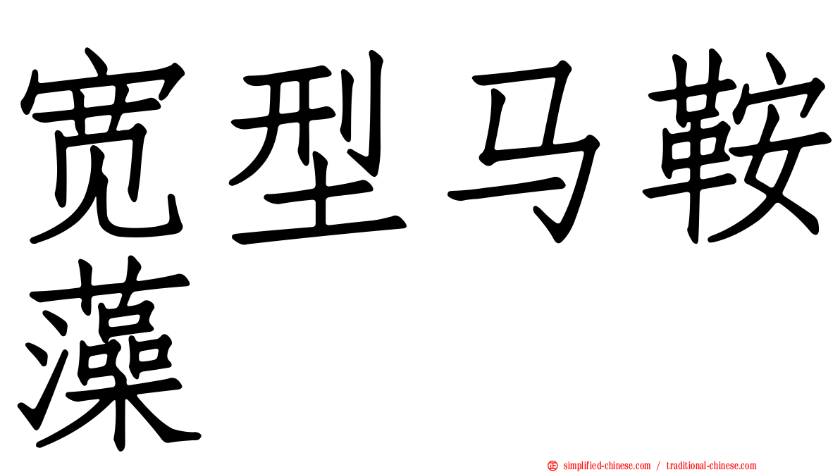 宽型马鞍藻