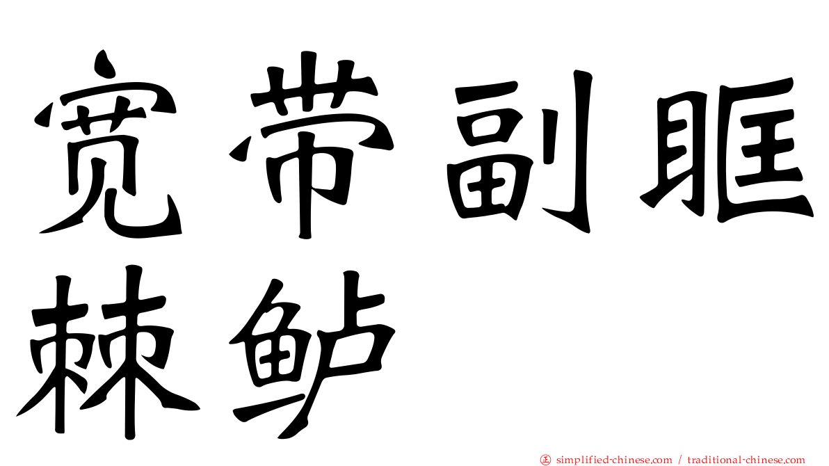 宽带副眶棘鲈