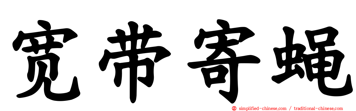 宽带寄蝇