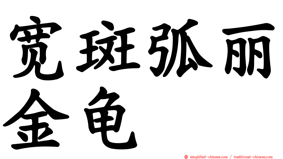 宽斑弧丽金龟