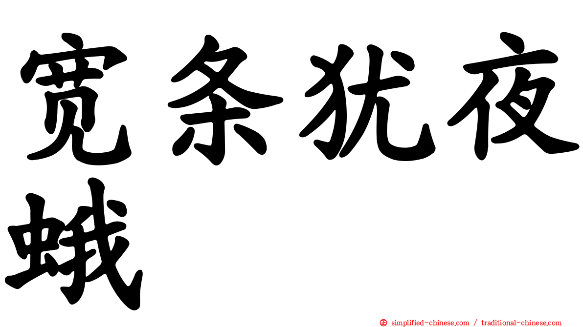 宽条犹夜蛾