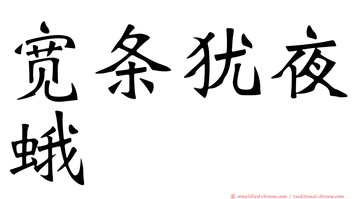 宽条犹夜蛾