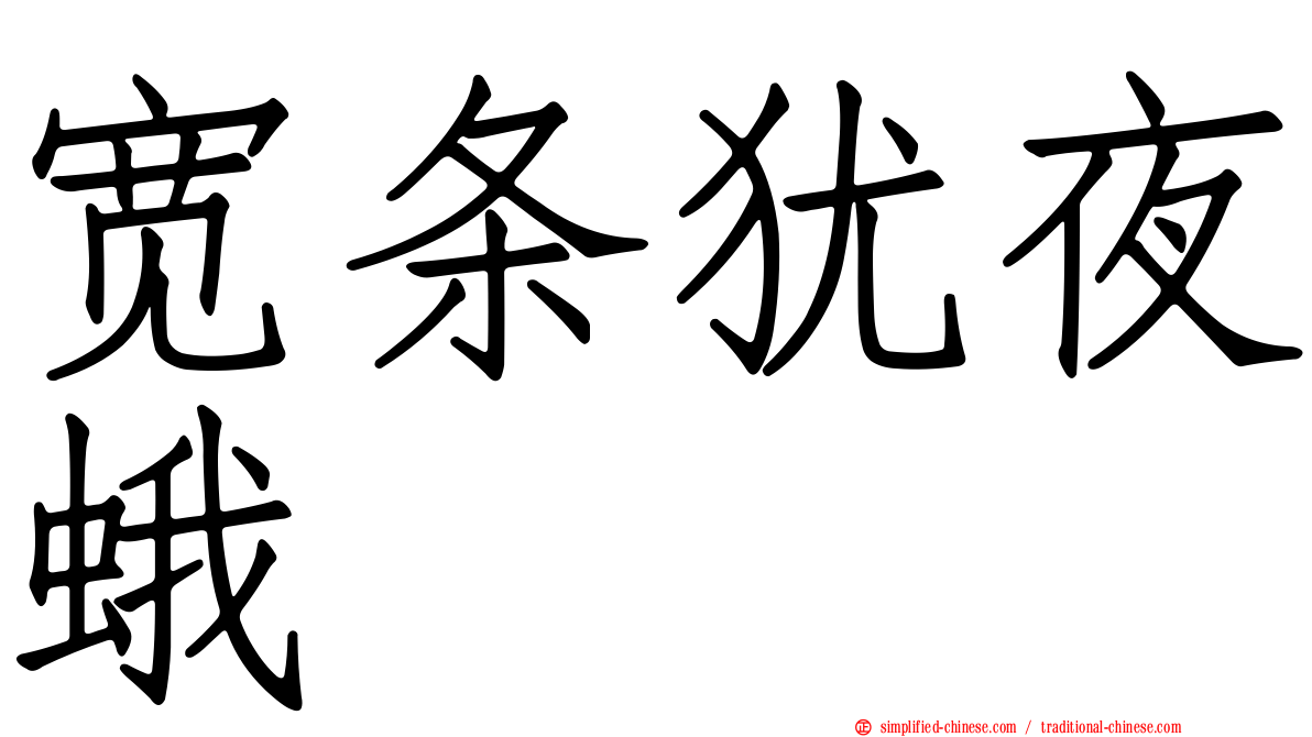 宽条犹夜蛾