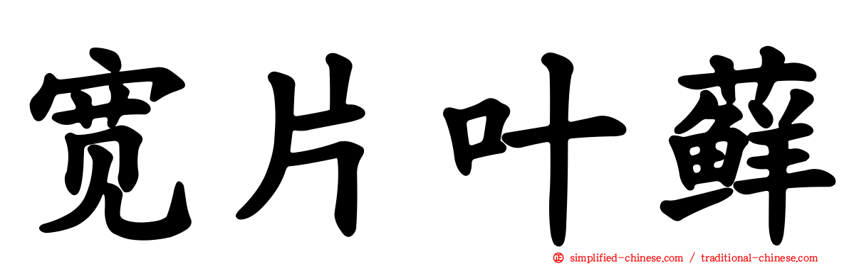 宽片叶藓