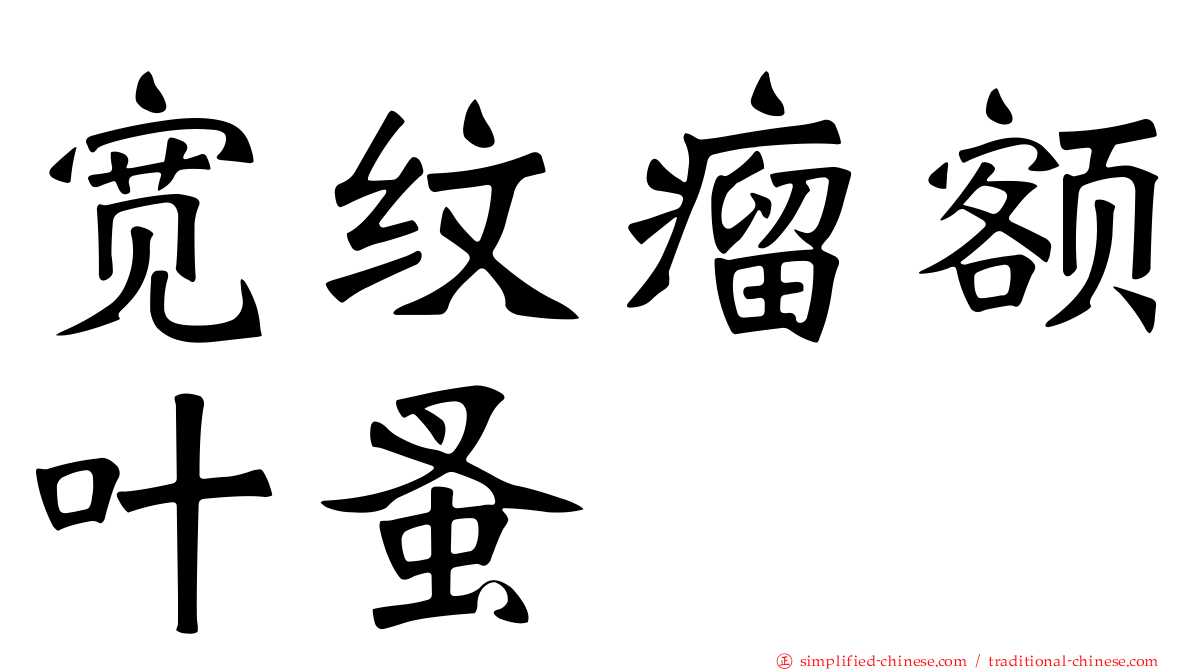 宽纹瘤额叶蚤