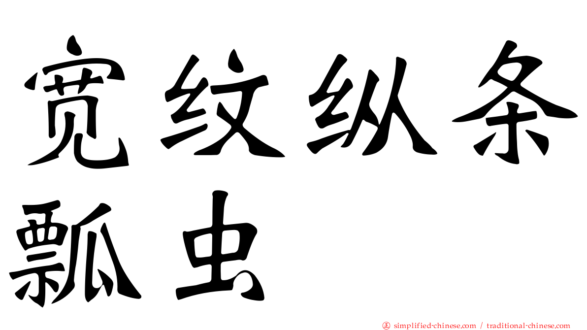 宽纹纵条瓢虫