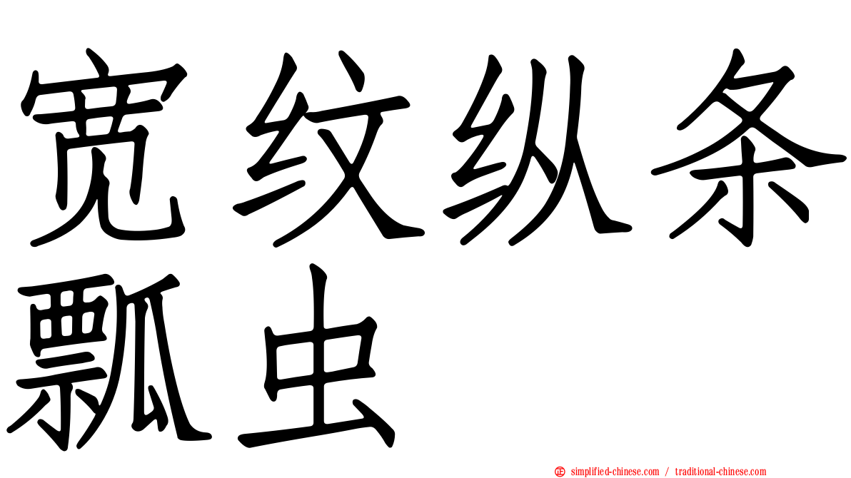 宽纹纵条瓢虫