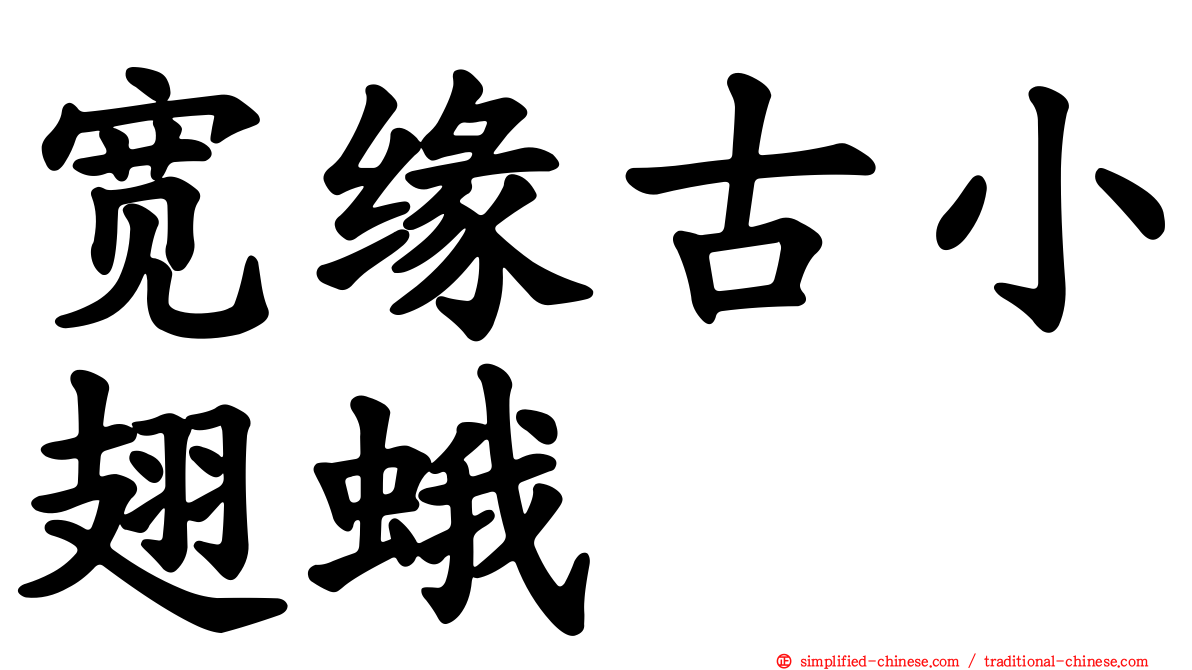 宽缘古小翅蛾