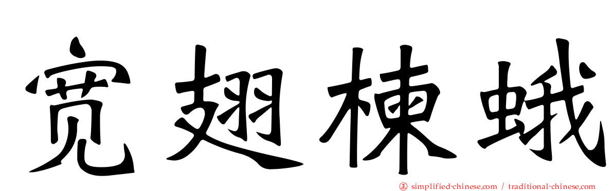 宽翅楝蛾