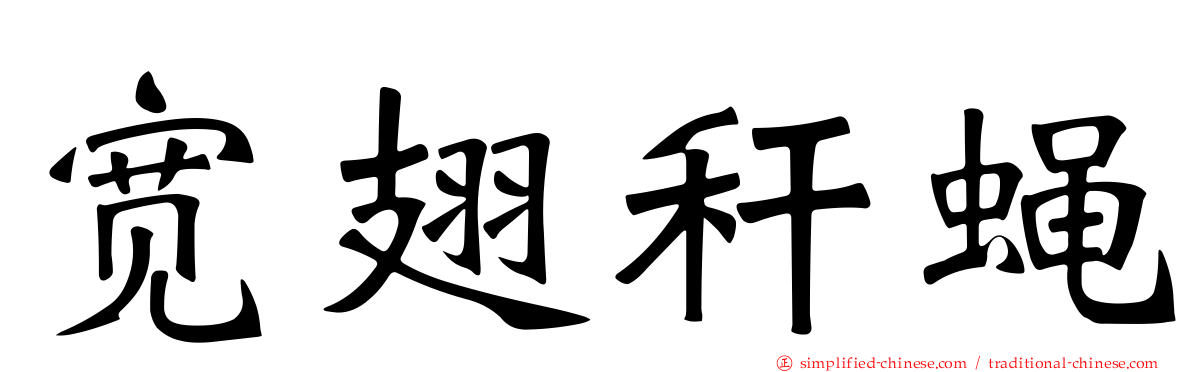 宽翅秆蝇
