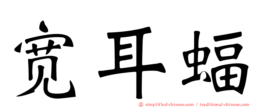 宽耳蝠