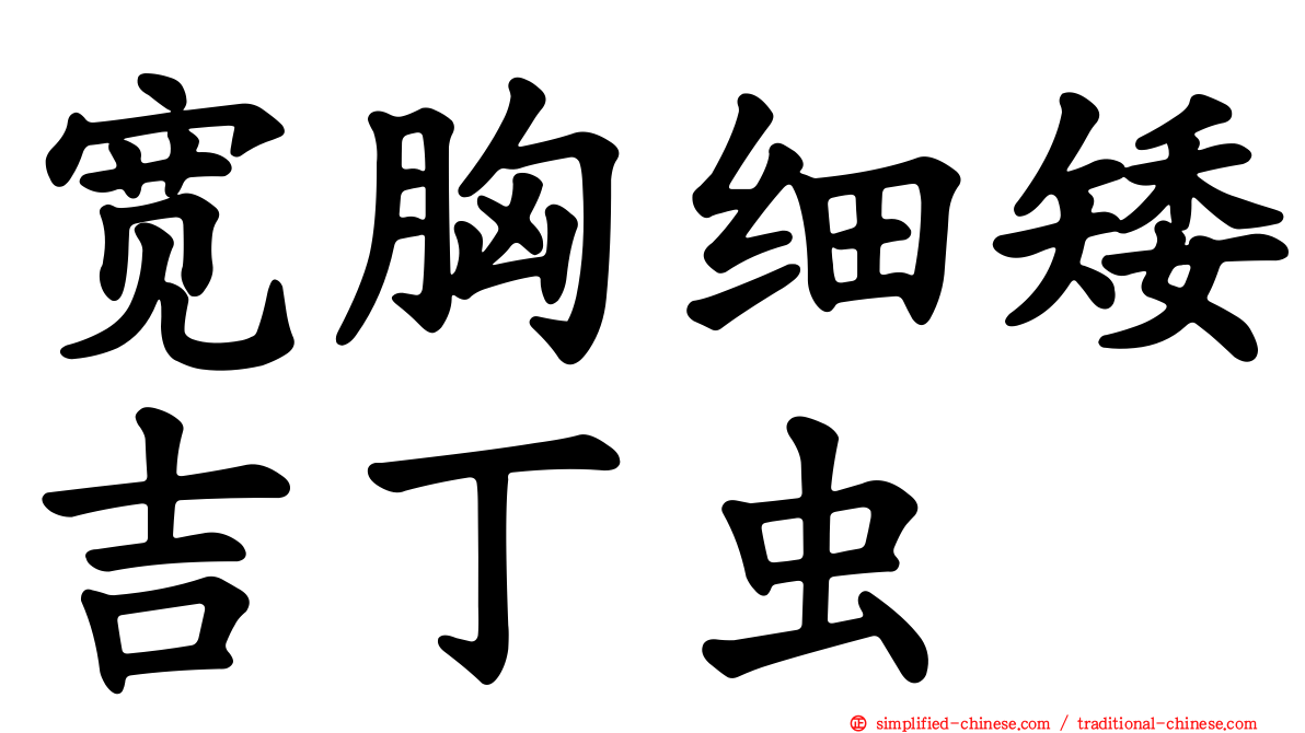 宽胸细矮吉丁虫