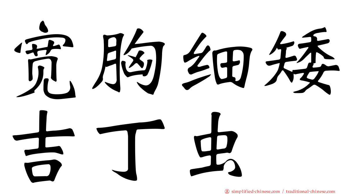 宽胸细矮吉丁虫