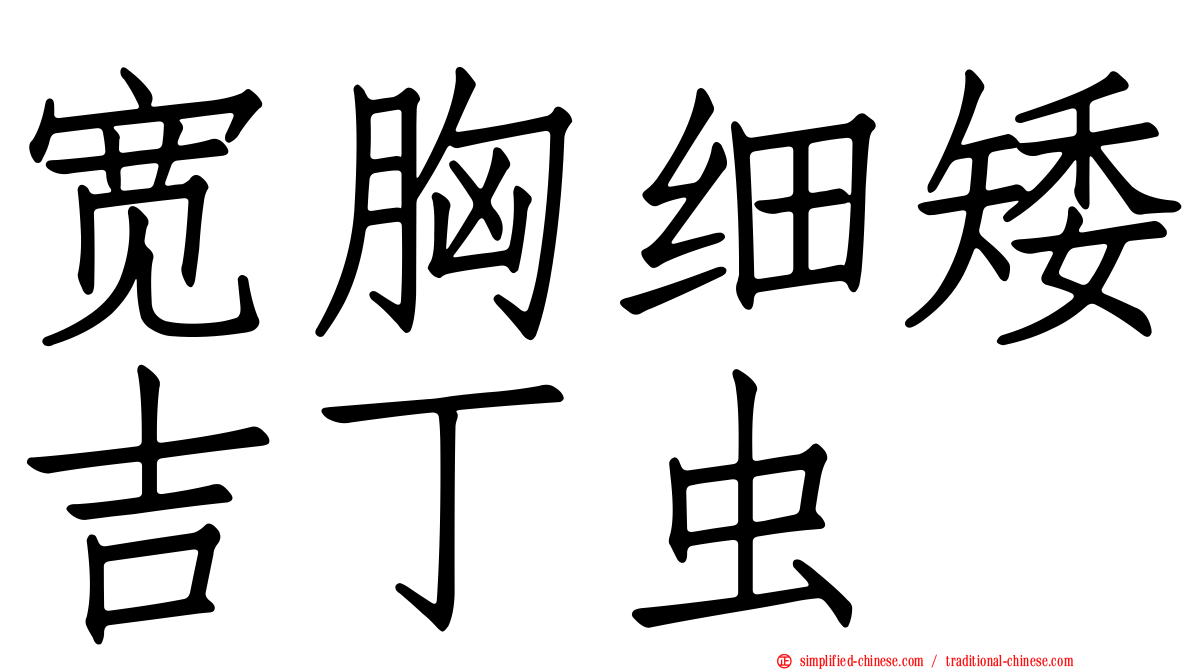 宽胸细矮吉丁虫