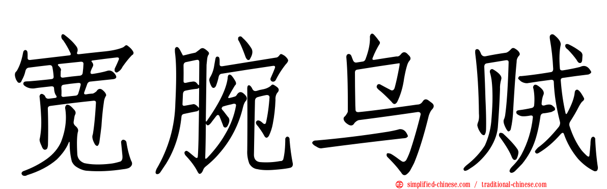 宽腕乌贼