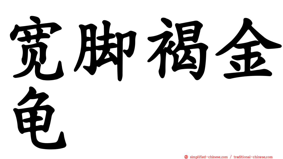 宽脚褐金龟