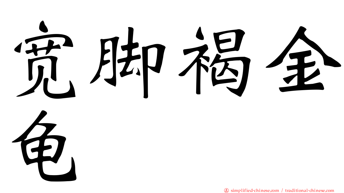 宽脚褐金龟