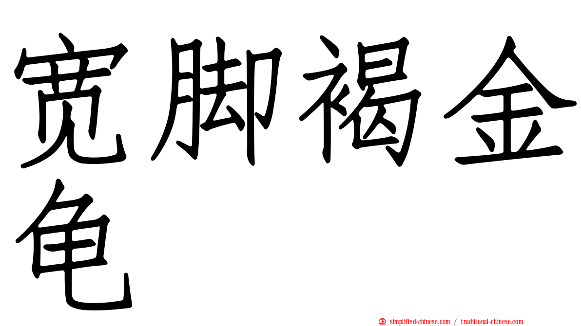 宽脚褐金龟