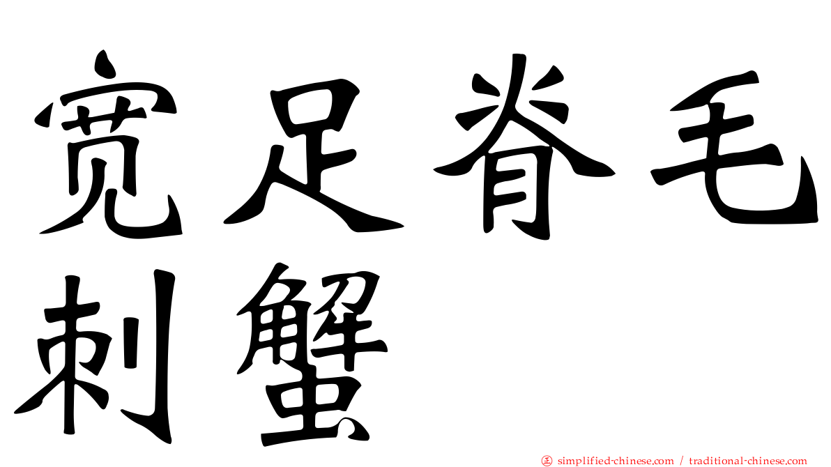 宽足脊毛刺蟹