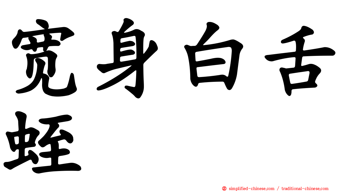 宽身白舌蛭