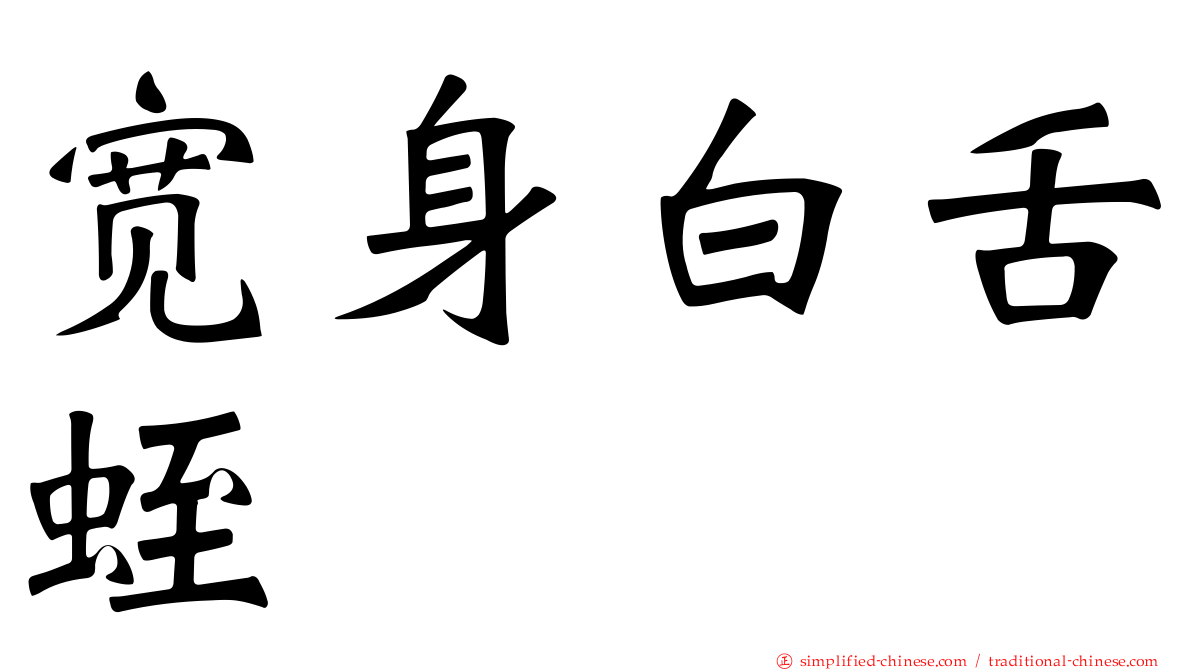 宽身白舌蛭