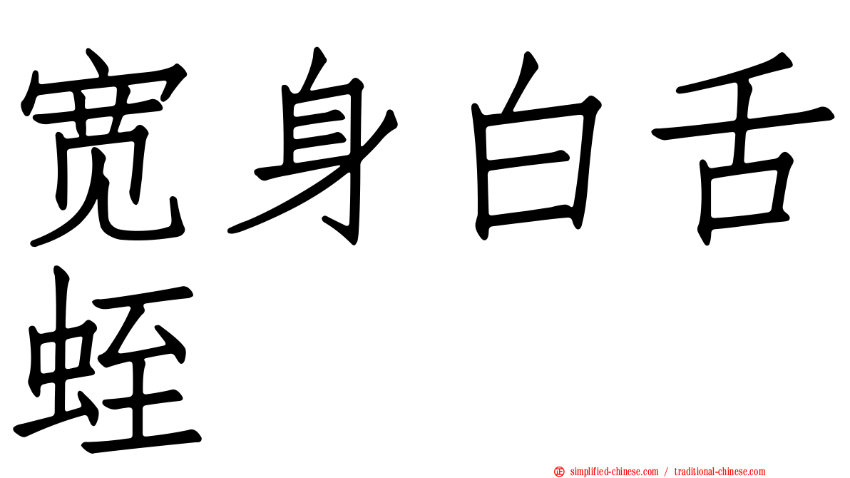 宽身白舌蛭