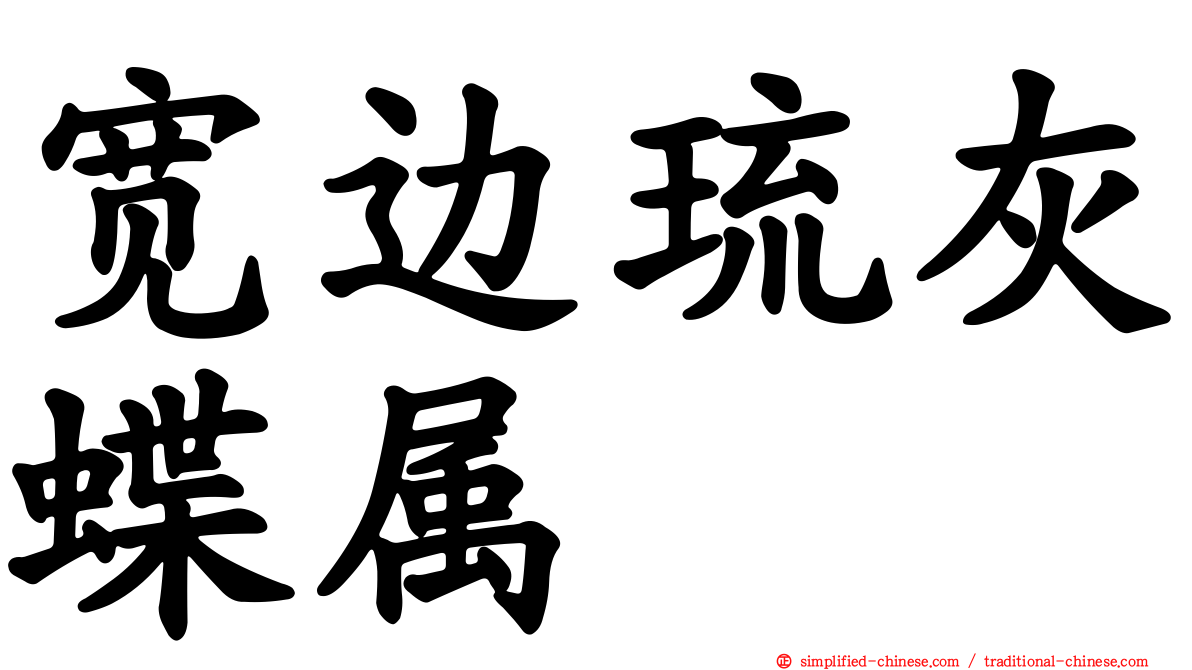 宽边琉灰蝶属