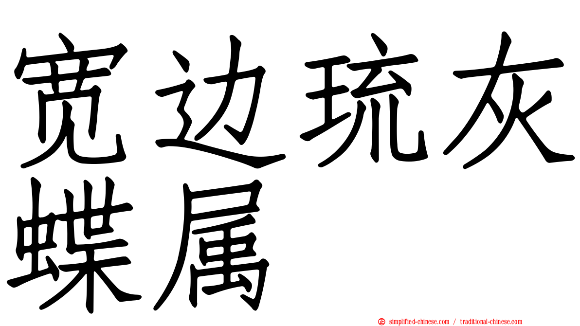 宽边琉灰蝶属