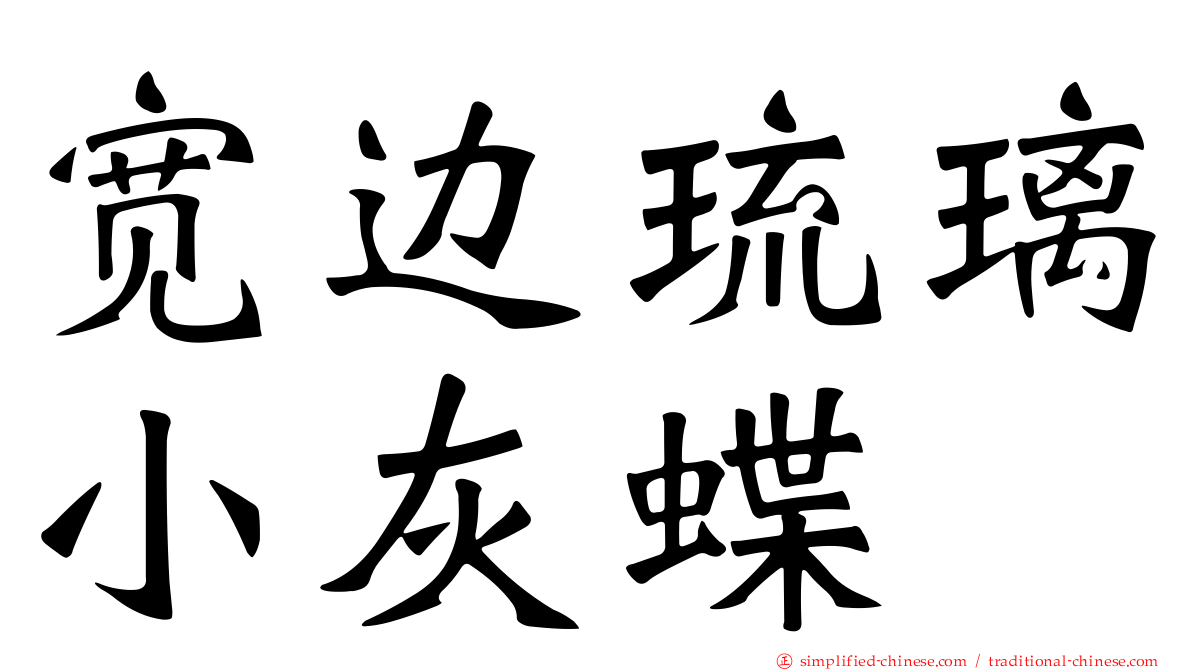 宽边琉璃小灰蝶