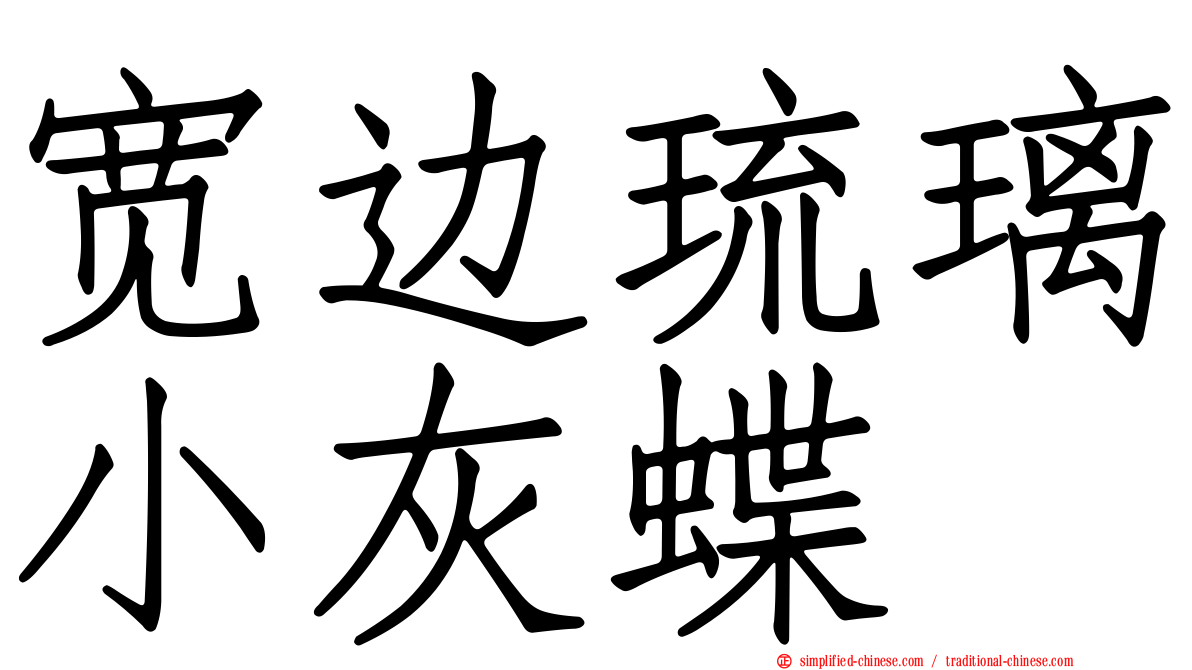 宽边琉璃小灰蝶