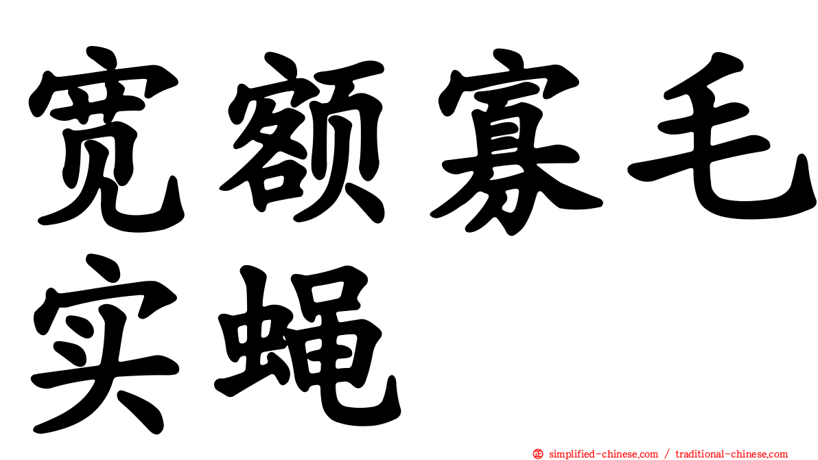 宽额寡毛实蝇