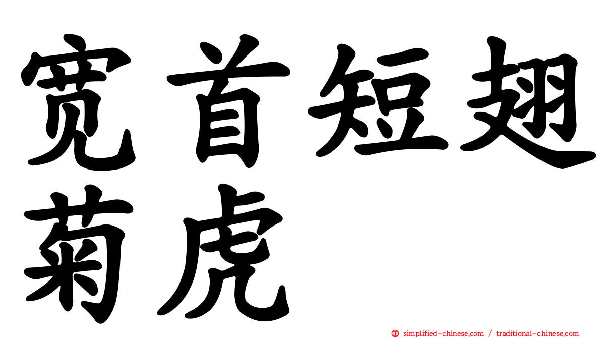 宽首短翅菊虎