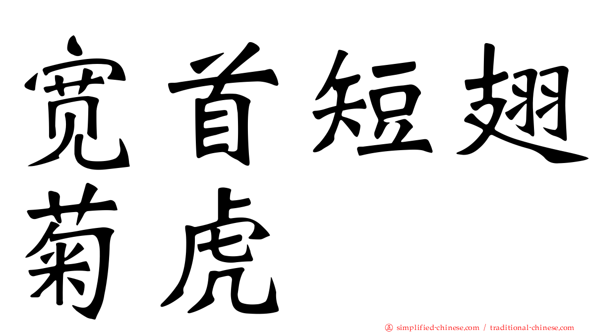 宽首短翅菊虎