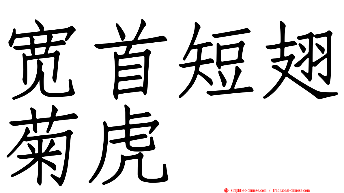 宽首短翅菊虎