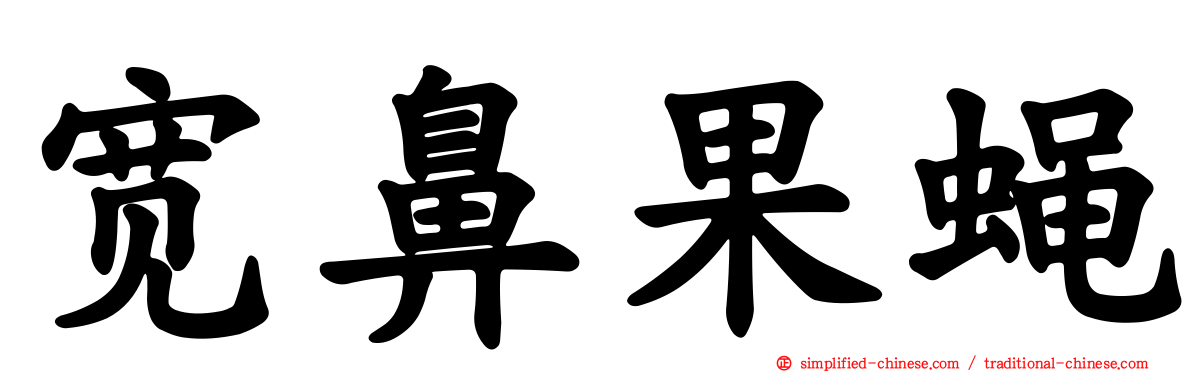 宽鼻果蝇