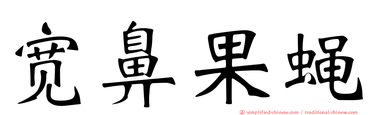 宽鼻果蝇