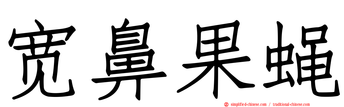 宽鼻果蝇