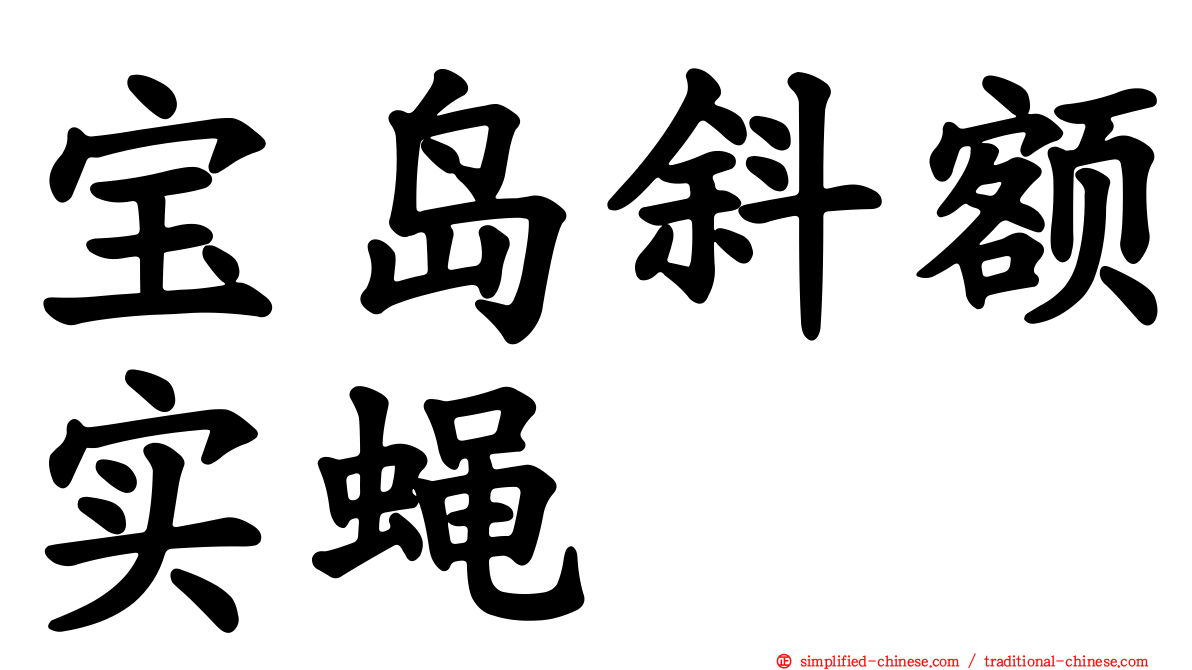 宝岛斜额实蝇