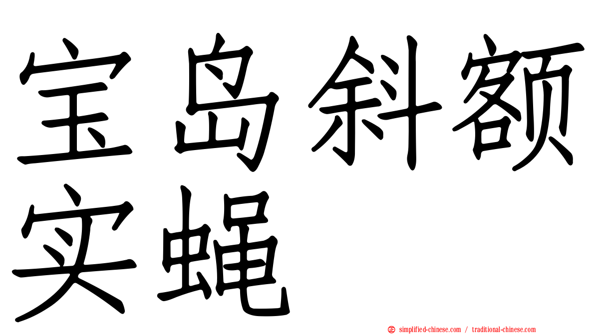 宝岛斜额实蝇