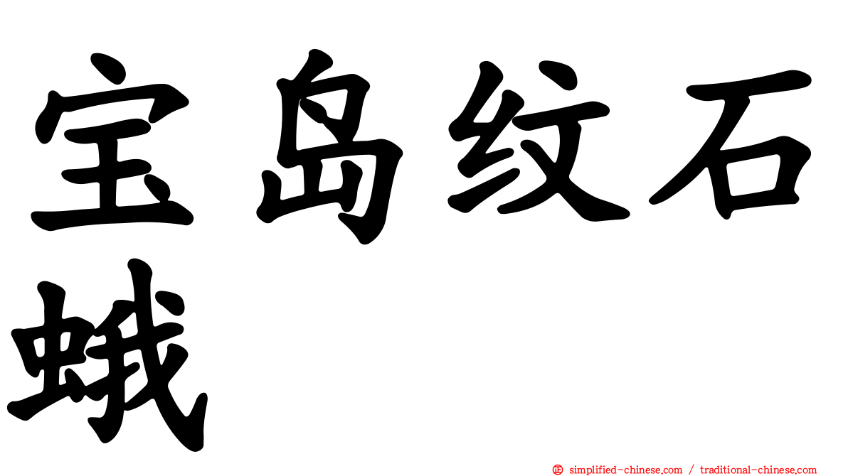 宝岛纹石蛾