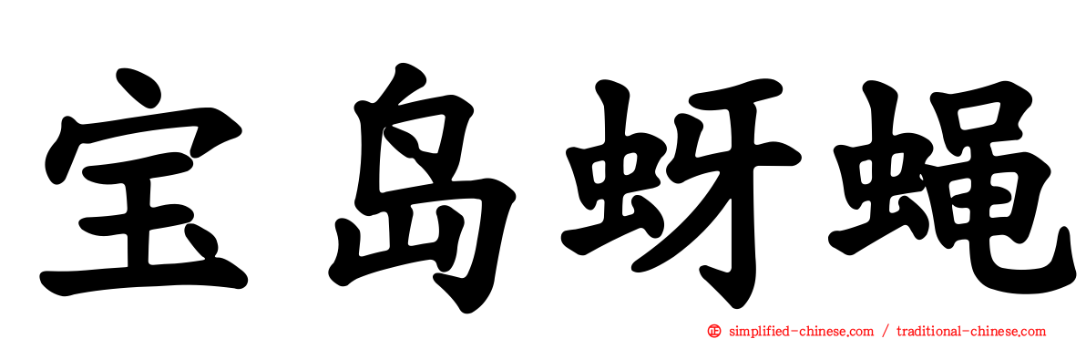 宝岛蚜蝇