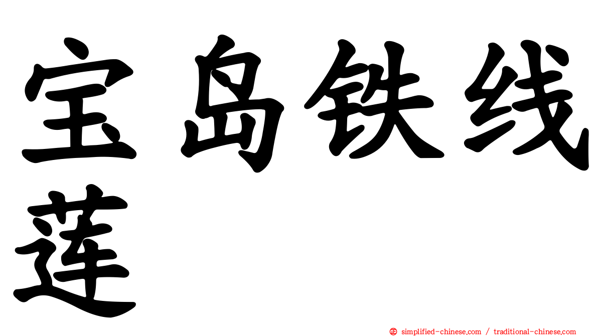 宝岛铁线莲