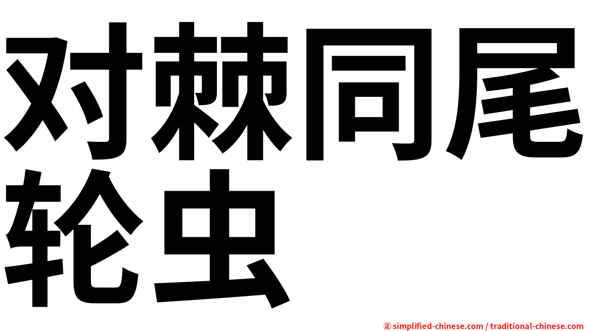 对棘同尾轮虫