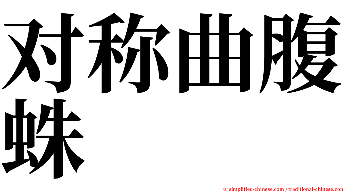 对称曲腹蛛 serif font