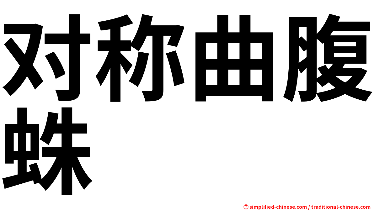 对称曲腹蛛