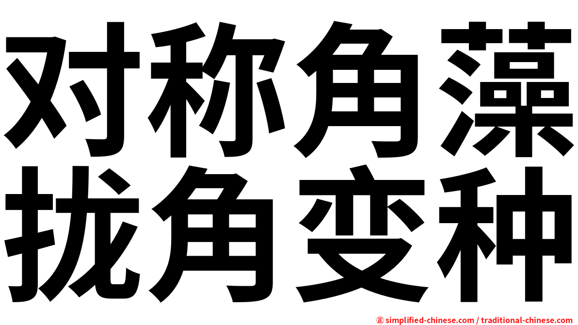 对称角藻拢角变种