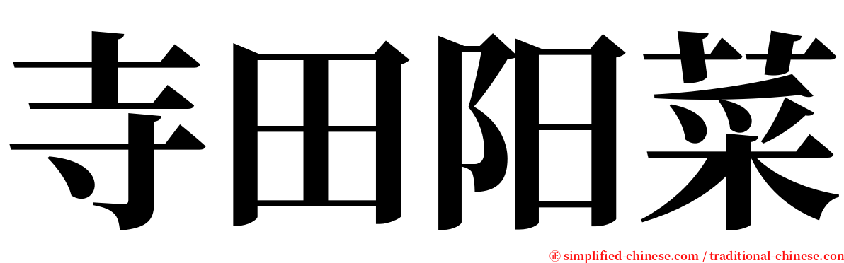 寺田阳菜 serif font