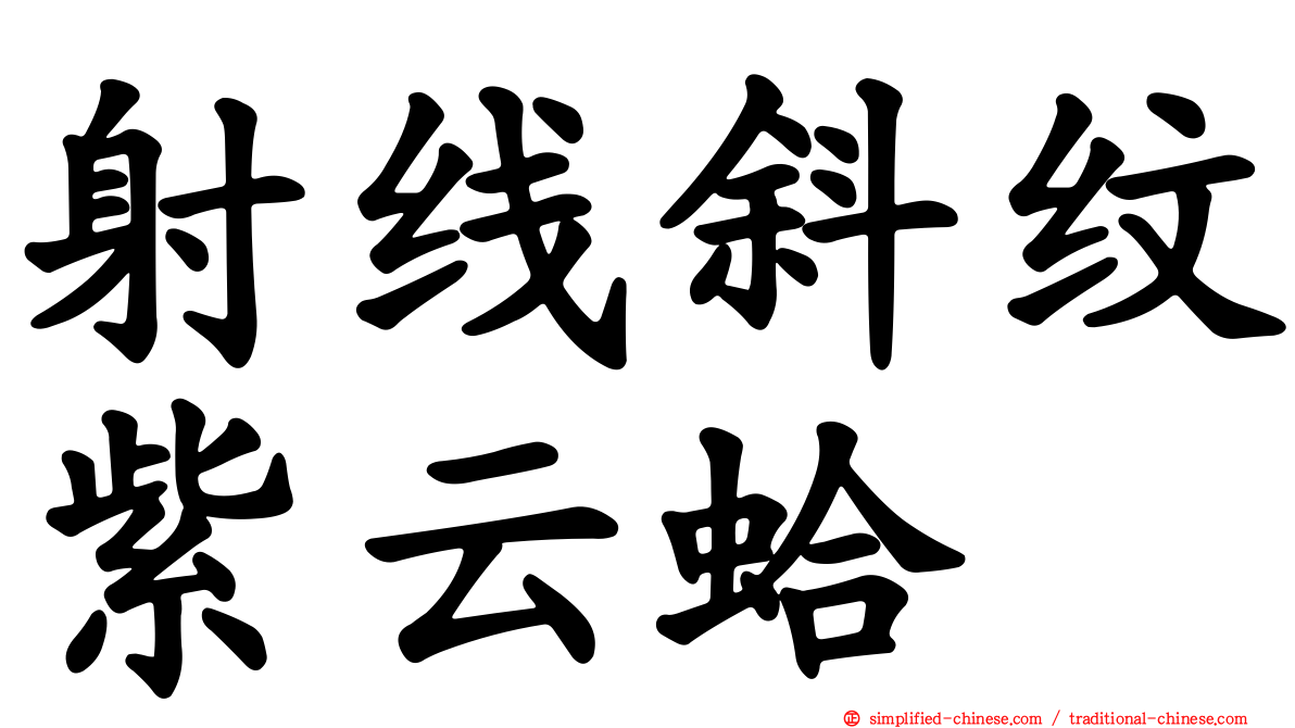 射线斜纹紫云蛤