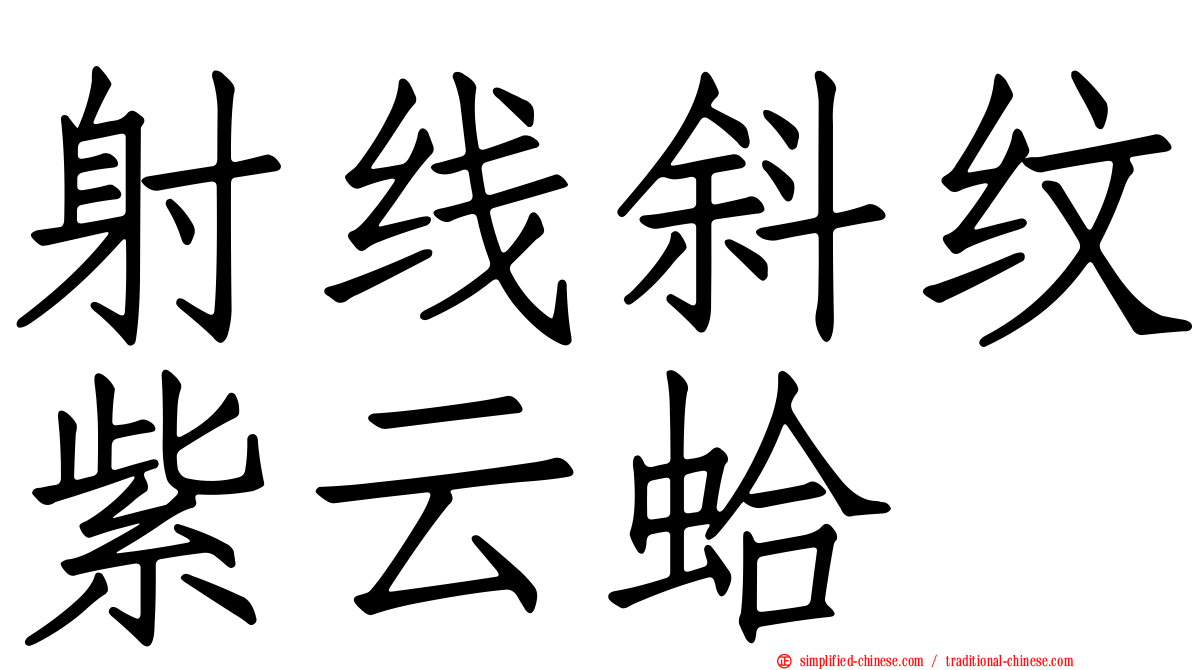 射线斜纹紫云蛤